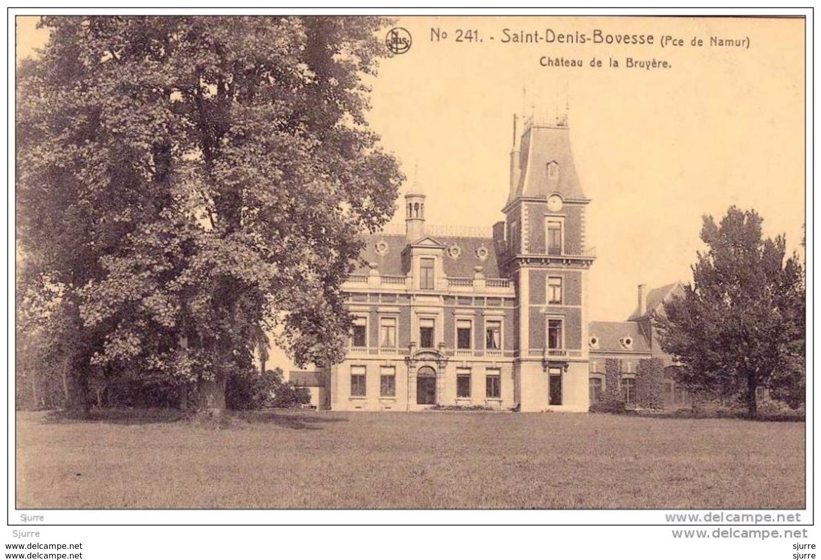 Saint-Denis-Bovesse - Kasteel - Château De La BRUYERE * - La Bruyère