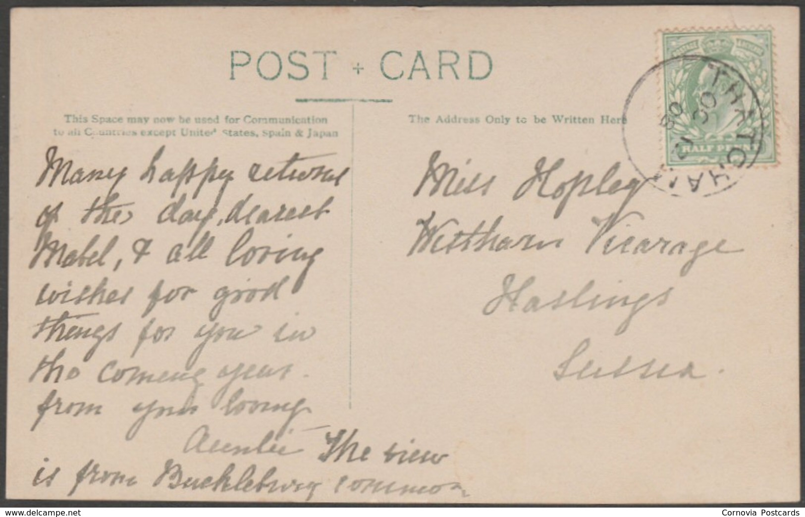 Tree On Bucklebury Common, Berkshire, 1908 - RP Postcard - Other & Unclassified