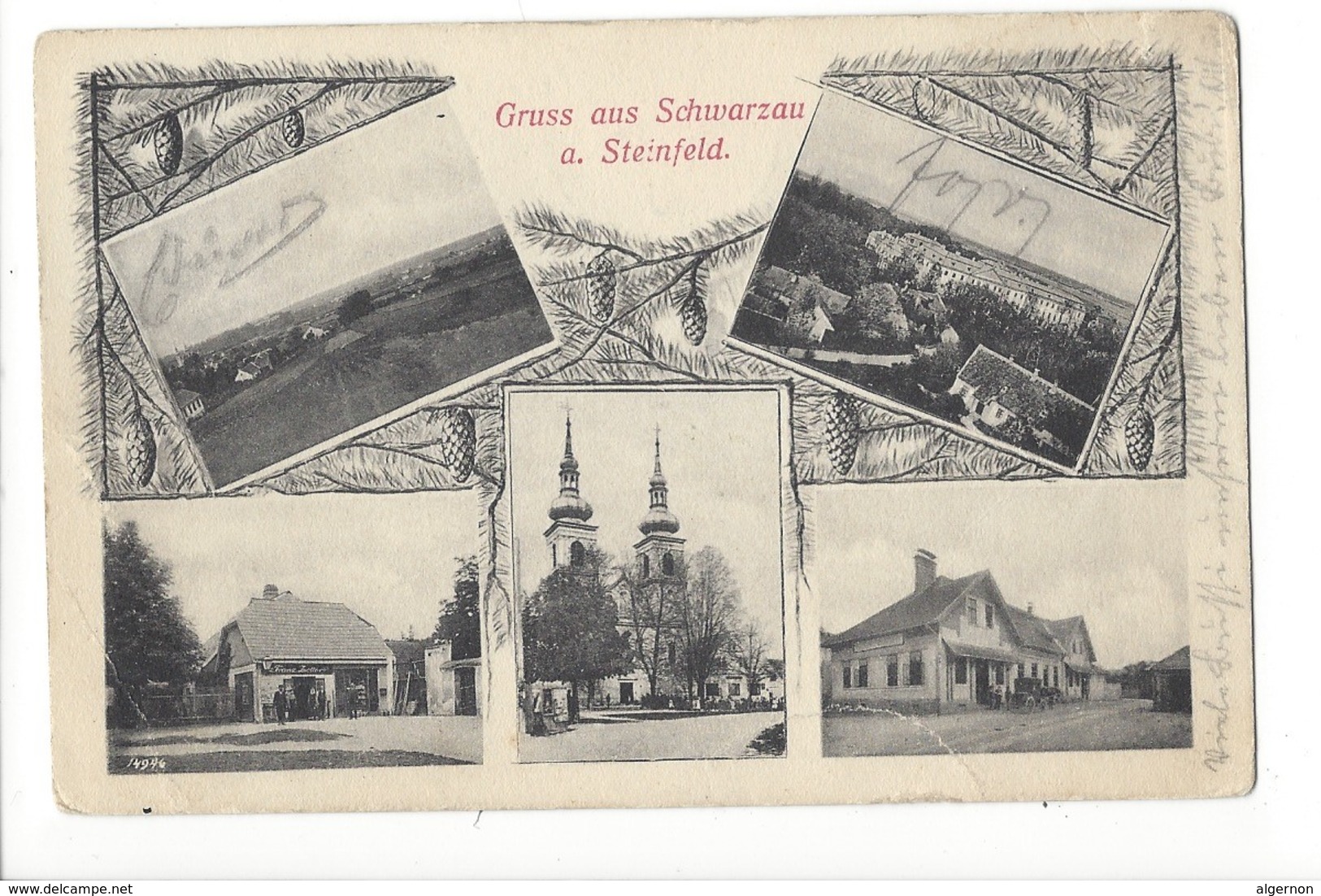 19556 - Gruss Aus Schwarzau Am Steinfeld Multivues - Autres & Non Classés