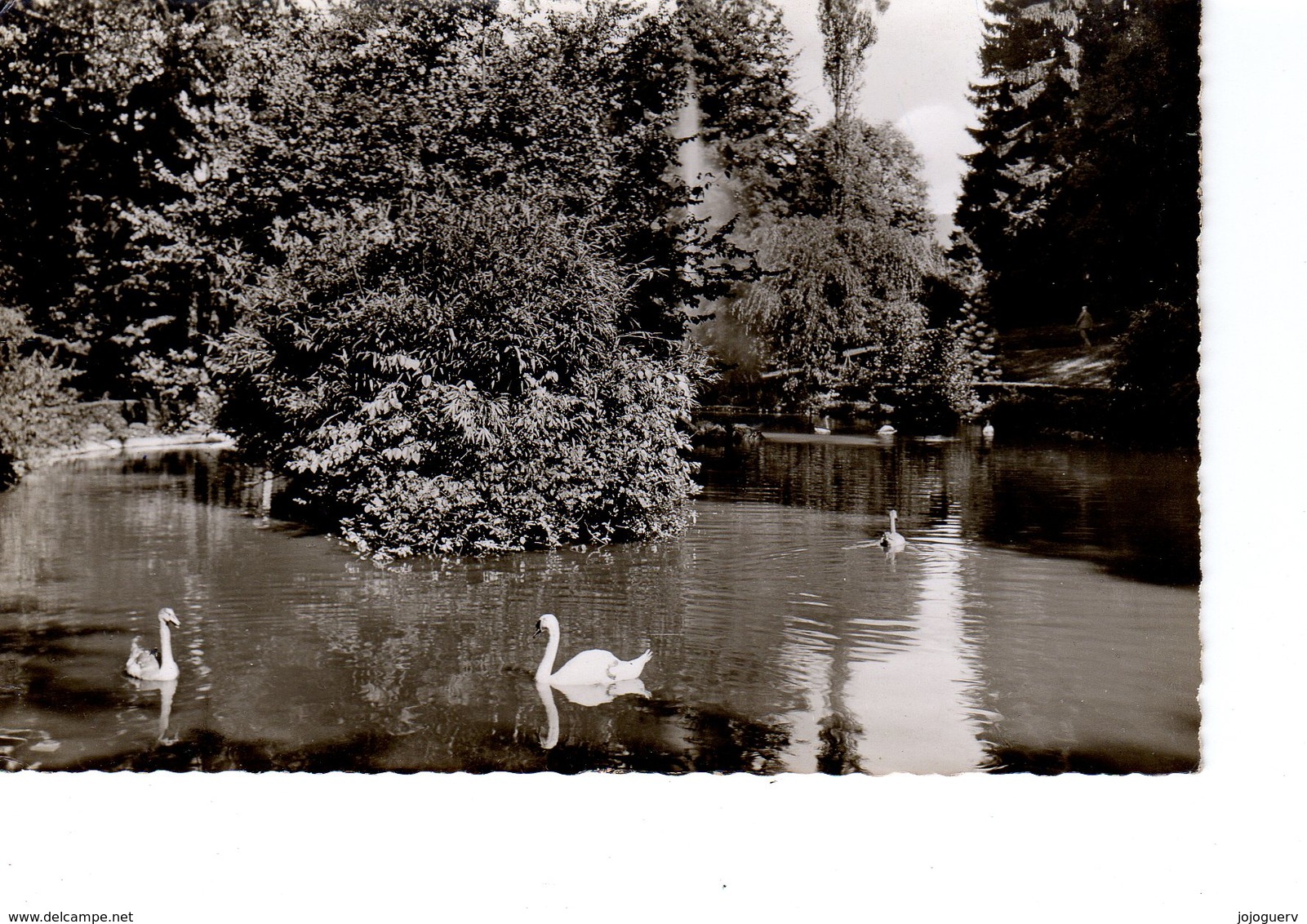 Badenweiler Kupark ( Cygne - Badenweiler