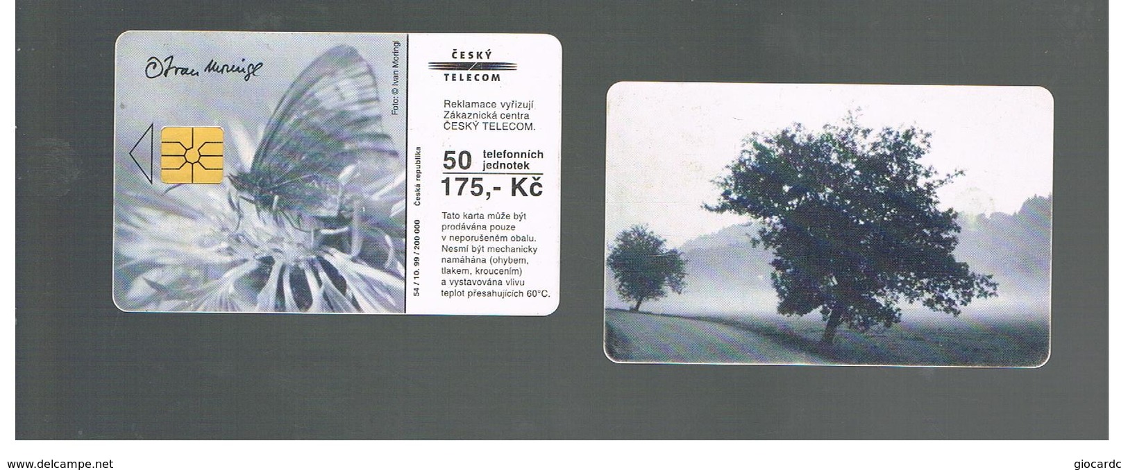 REPUBBLICA CECA (CZECH REPUBLIC) -  1999  BUTTERFLY, TREE     - USED - RIF. 10111 - Farfalle
