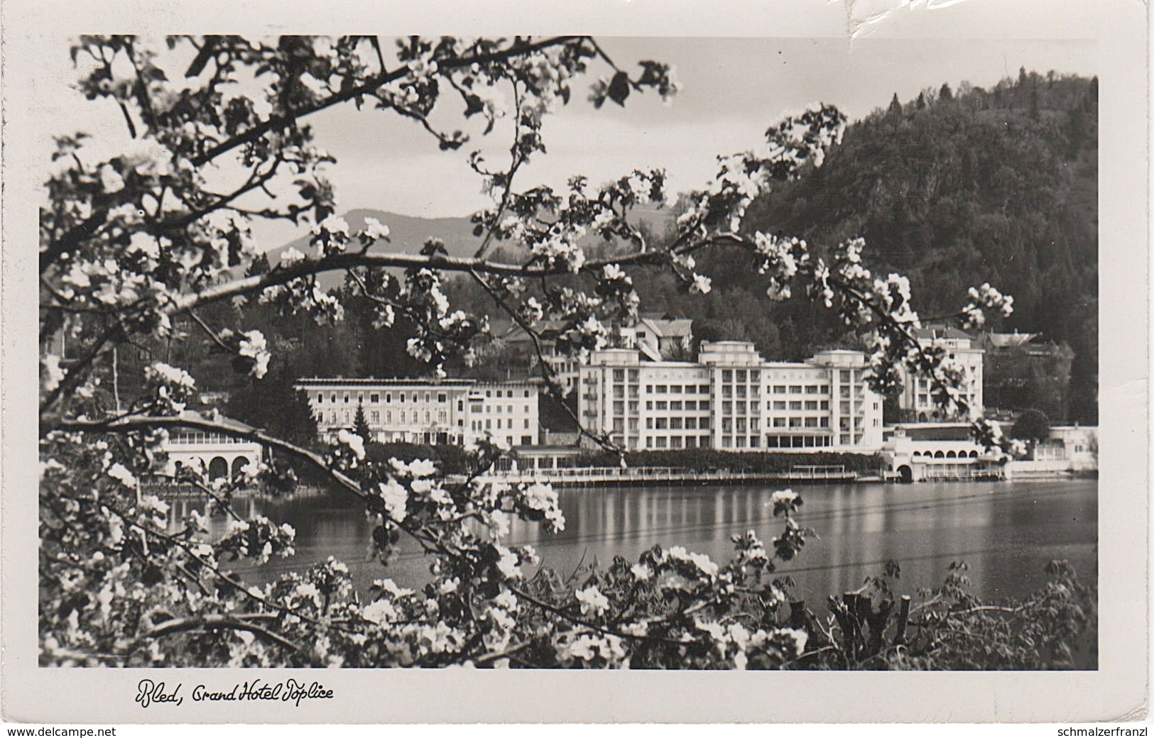 AK Letovisce Bled Veldes Feldes Grand Hotel Toplice Jugoslavija Jugoslawien Slovenija Slowenien Slovénie Slovenia - Jugoslawien