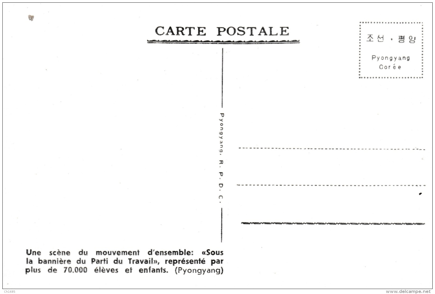 COREE DU NORD  R.P.D.C.  :  PYONGYANG  :  Scène Du Mouvement D'ensemble  " Sous La Bannière Du Parti Du Travail " - Corée Du Nord