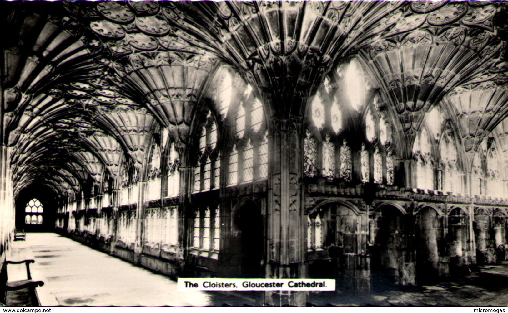 The Cloysters - Gloucester Cathedral - Gloucester