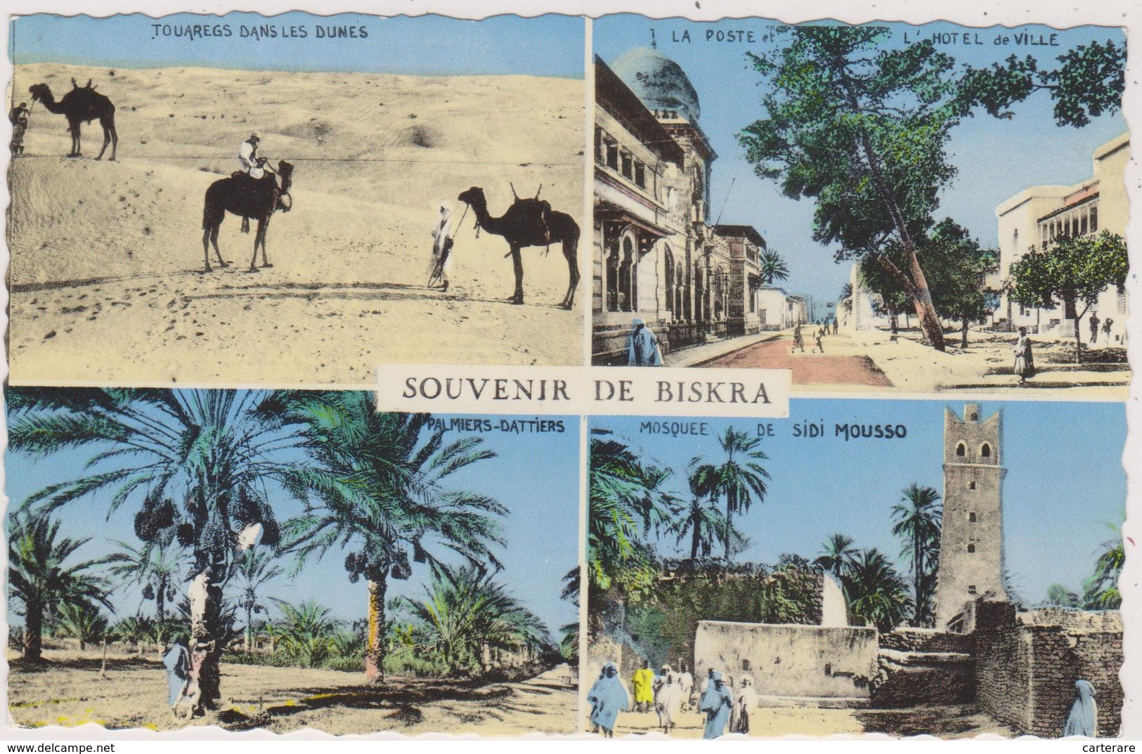 AFRIQUE,AFRIKA,AFRICA,MAGHREB,Algérie,Algéria,BISKRA,4 Clichés,palmier,dattes,te Mple,touaregs,mairie,1950 - Biskra
