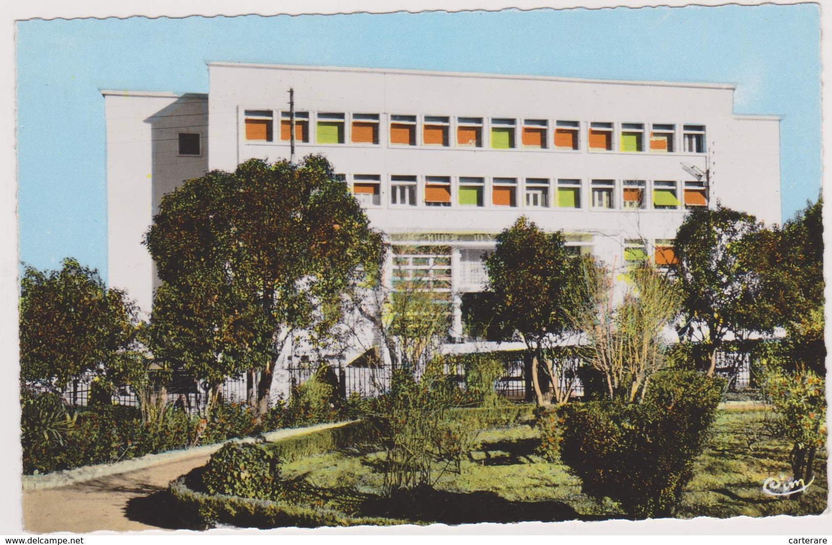 AFRIQUE,FRANCE COLONIES,MAGHREB,HAUTS PLATEAUX,SETIF EN 1950,HOTEL DES FINANCES,RECOLTE DES IMPOTS,JARDIN - Sétif