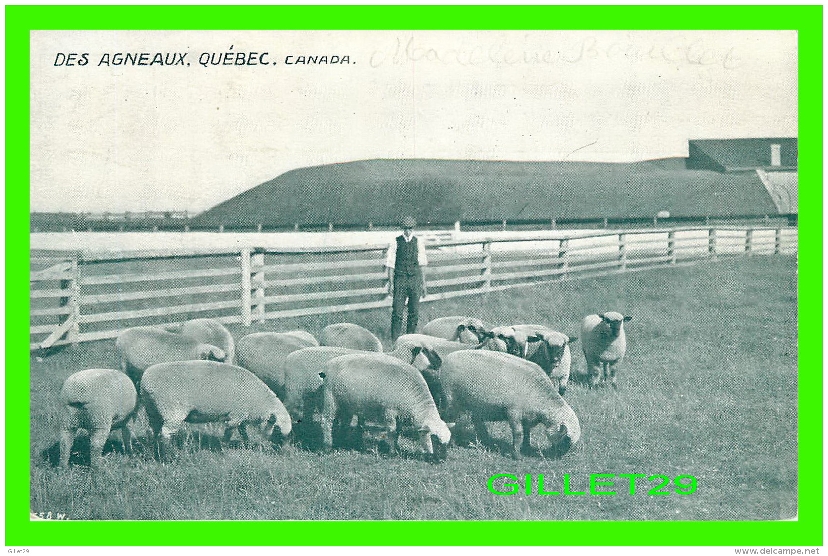 MOUTONS - DES AGNEAUX DU QUÉBEC - ANIMÉE - PUBLICITÉ DE PAUL WIALLARD, PARIS - ATLAS GÉOGRAPHIQUE DU CANADA - - Autres & Non Classés