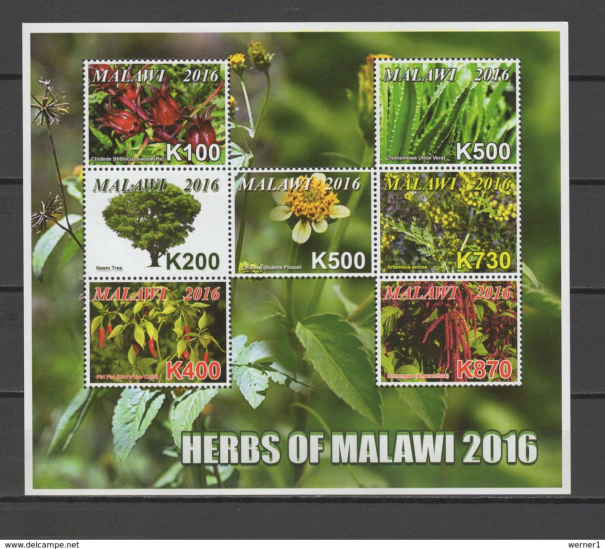 Malawi 2016 Herbs Sheetlet + 5 S/s MNH - Malawi (1964-...)