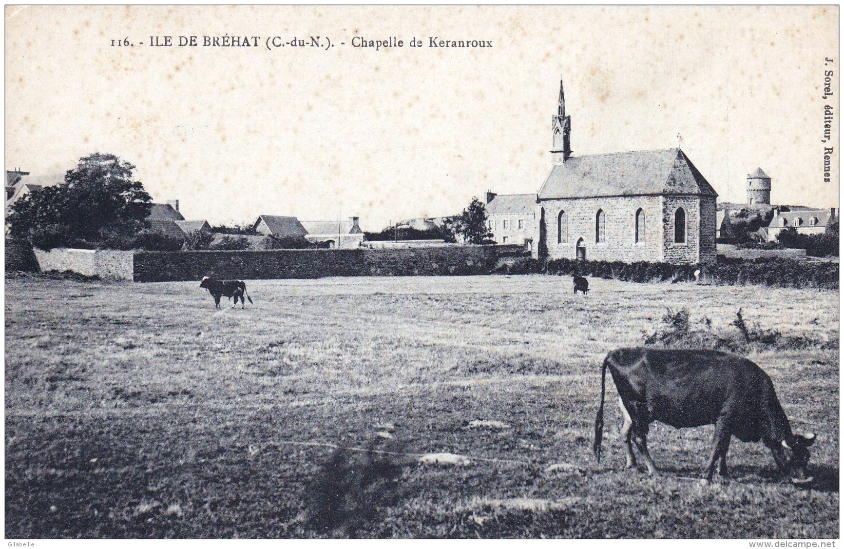 22 - Cotes D Armor - ILE De BREHAT - Chapelle De Keranroux ( Vaches Au Paturage ) - Ile De Bréhat