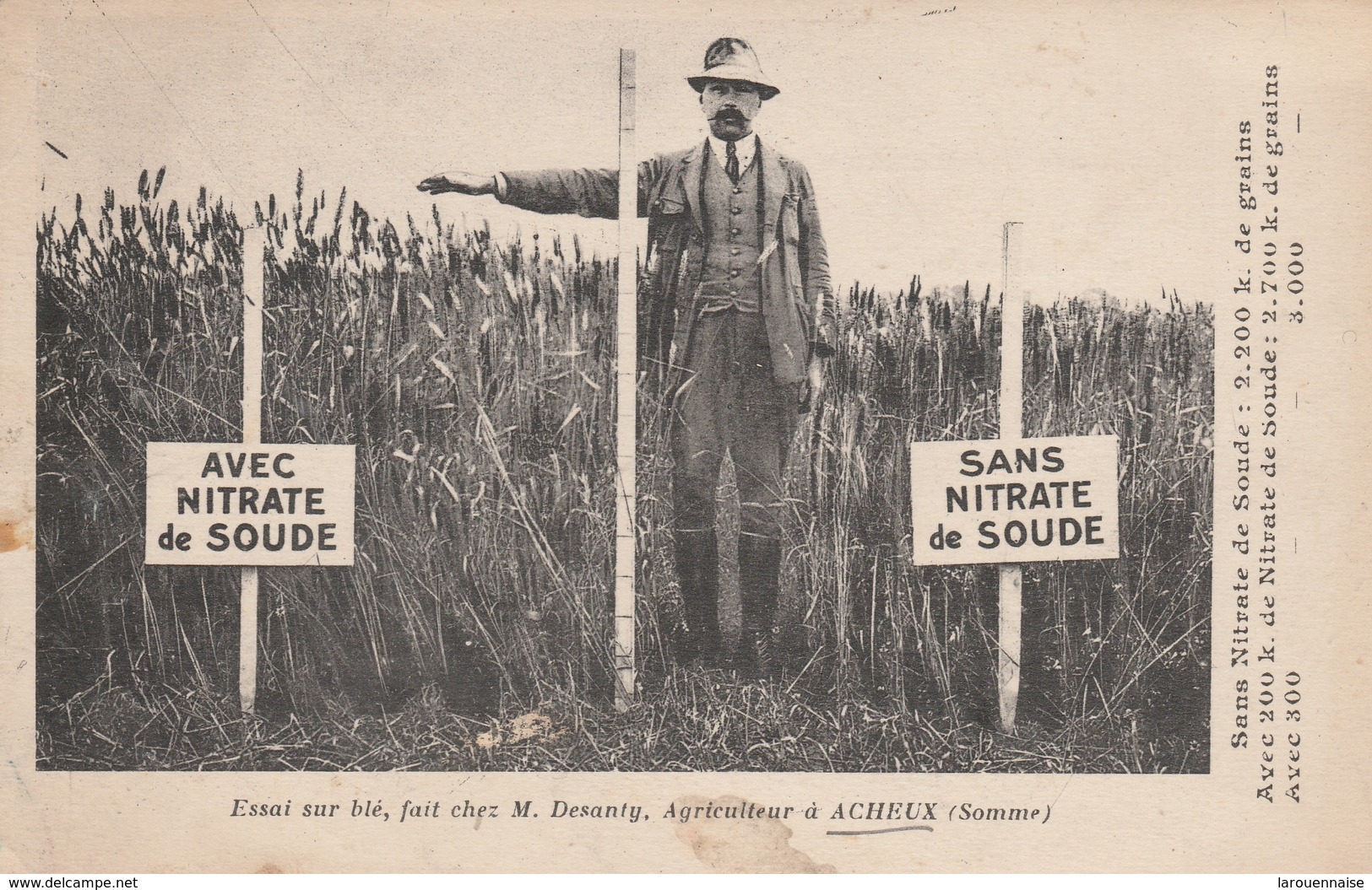 80 - ACHEUX - Essai Sur Blé, Fait Chez M.Desanty, Agriculteur à Acheux - Acheux En Amienois