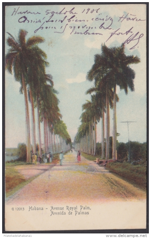 POS-910 CUBA POSTCARD. 1901. HAVANA, ROYAL PALM AVENUE TO FRANCE. USED. - Cuba