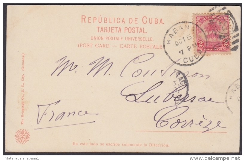 POS-910 CUBA POSTCARD. 1901. HAVANA, ROYAL PALM AVENUE TO FRANCE. USED. - Cuba