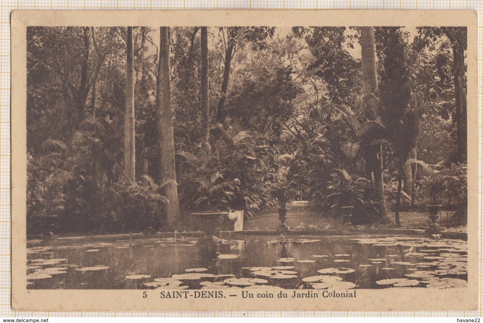 8AK239 LA REUNION SAINT DENIS UN COIN DU JARDIN COLONIAL  2 SCANS - Saint Denis