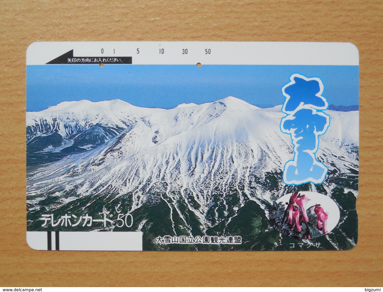 Japon Japan Free Front Bar, Balken Phonecard  / 110-7487 / Flowers / Glacier Gletscher - Japan