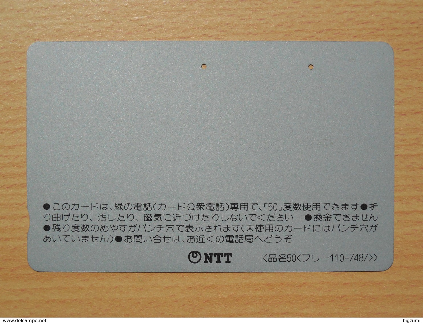 Japon Japan Free Front Bar, Balken Phonecard  / 110-7487 / Flowers / Glacier Gletscher - Japan