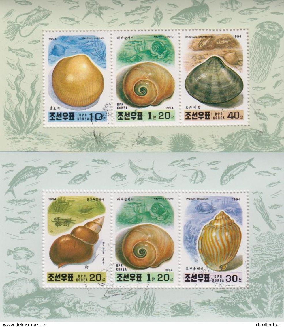 Korea 1994 - 2 M/S Marine Life Shell Animals Sealife Nature Fauna Molluscs Carolium Muticum Stamps Sc 3359-3360 CTO - Coneshells