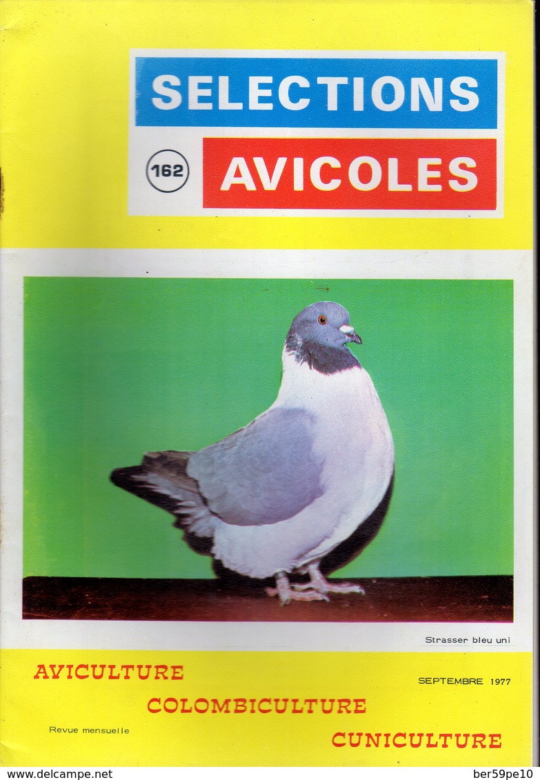 SELECTIONS AVICOLES AVICULTURE COLOMBICULTURE CUNICULTURE SEPTEMBRE 1977 N° 162 - Animals