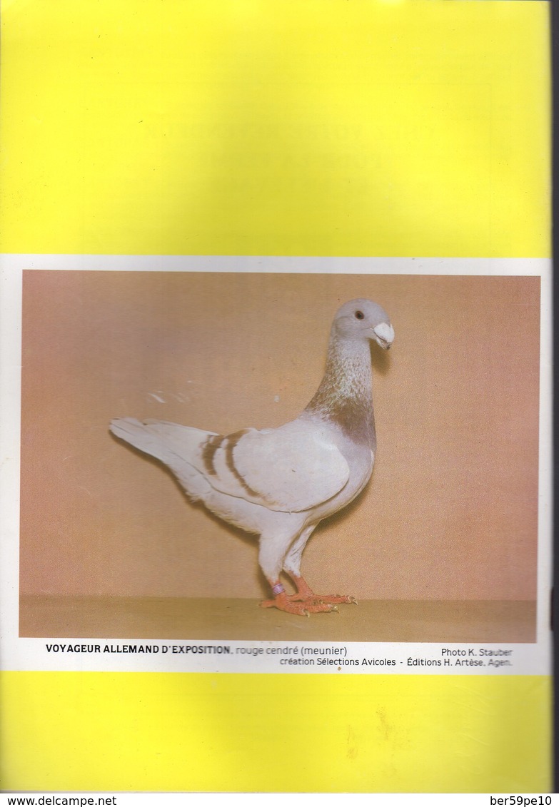 SELECTIONS AVICOLES AVICULTURE COLOMBICULTURE CUNICULTURE JUILLET-AOUT 1987  N° 261 - Animals