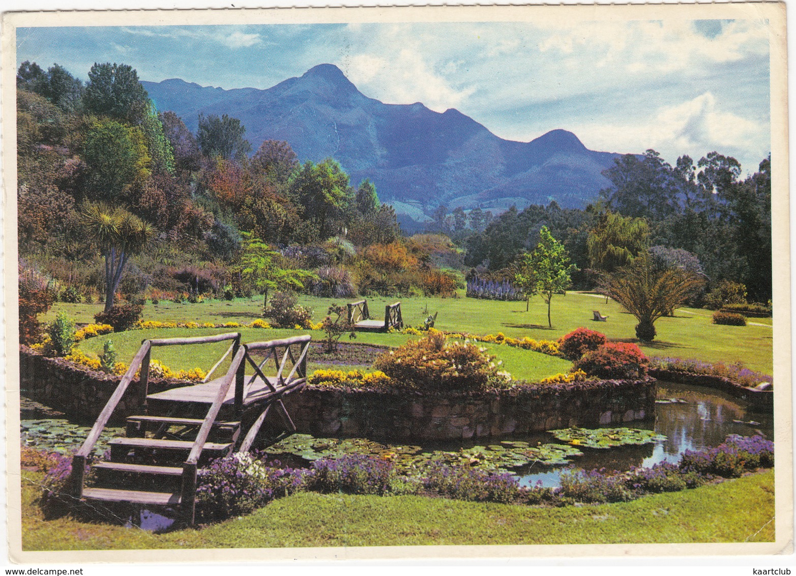 George, Cape Provence - Van Riebeeck Gardens  - South Africa - Zuid-Afrika