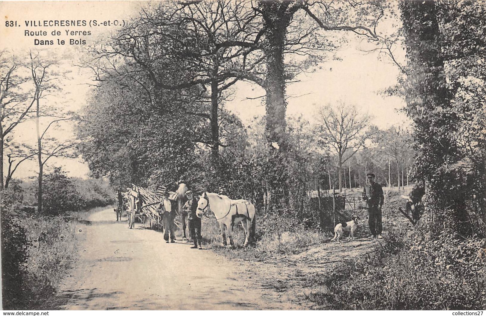 94-VILLECRESNES- ROUTE DE YERRES DANS LE BOIS - Villecresnes