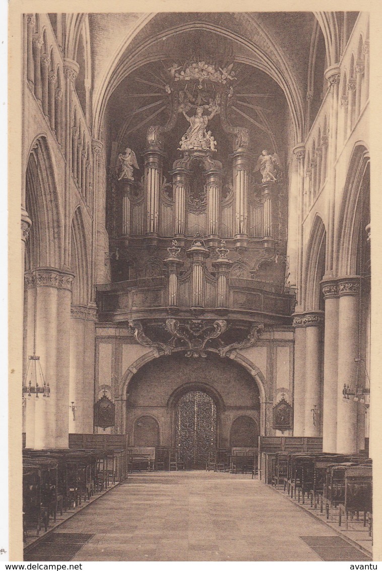 TONGEREN / INTERIEUR VAN DE OLV BASILIEK / ORGEL / ORGUE - Tongeren