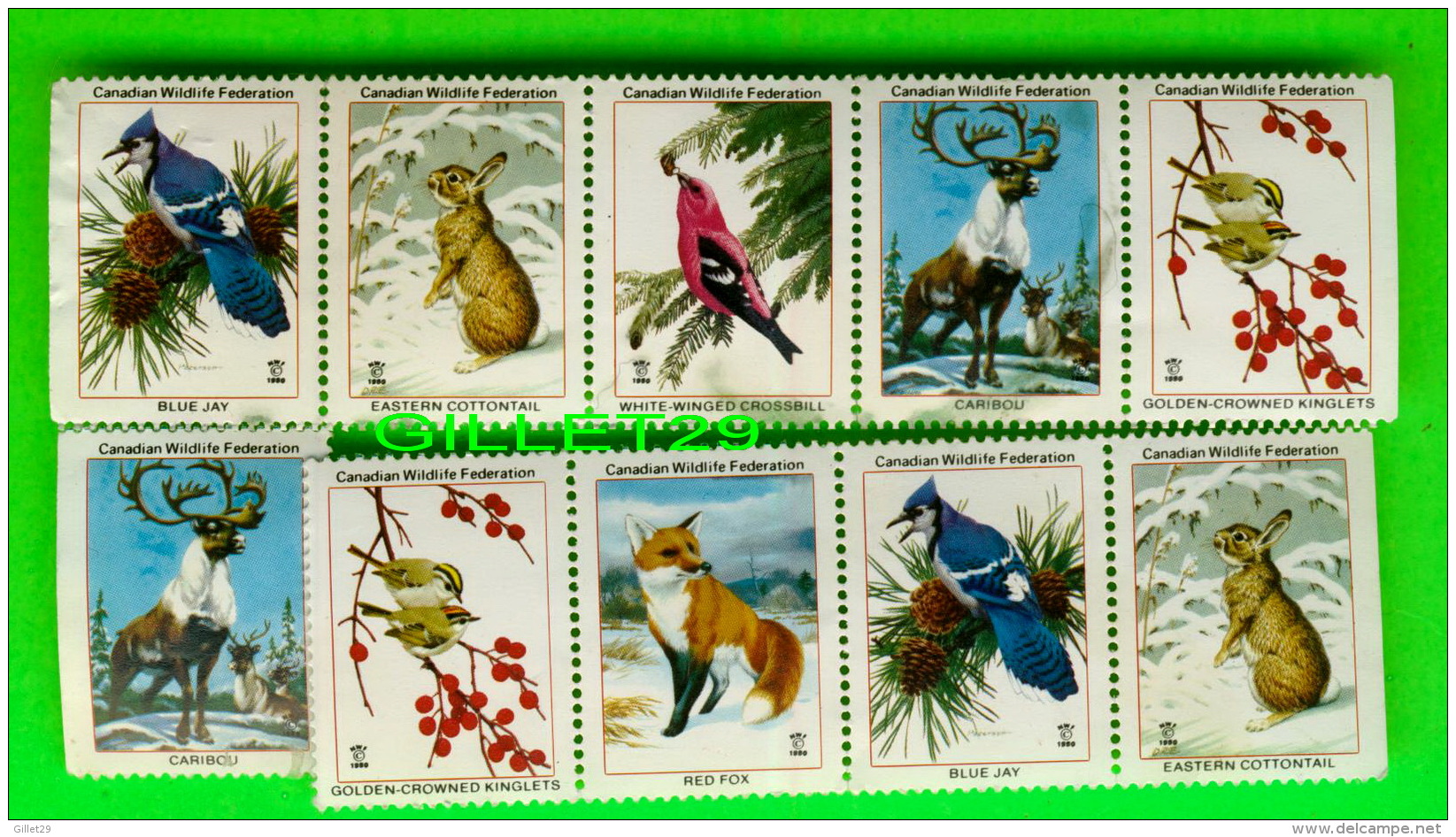 TIMBRES -  10 VIGNETTES - CANADIAN WILDLIFE FEDERATION - - Automatenmarken (ATM) - Stic'n'Tic