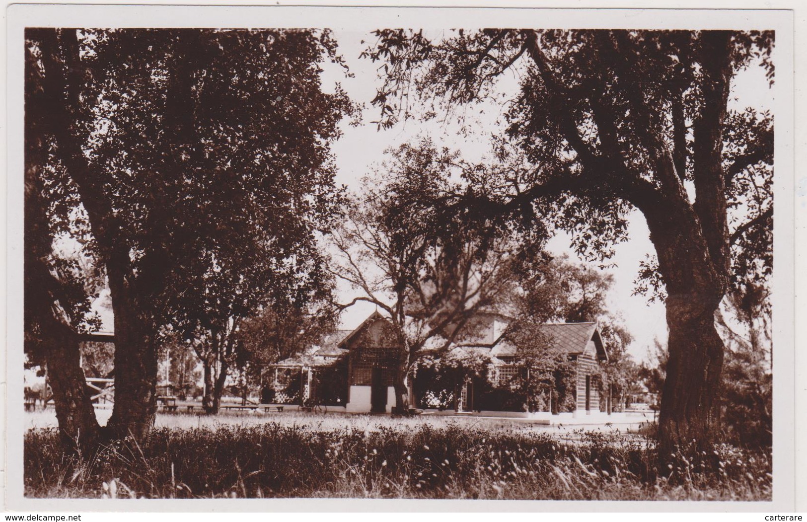 Afrique,afrika,africa,MAROC,MOROCCO,PORT LYAUTEY,Kénitra Sous Protectorat Français,rare,prés Rabat,chenaie,parc - Rabat