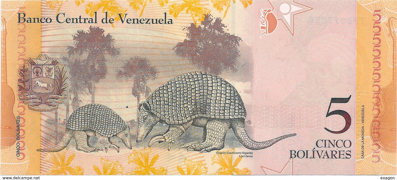 N. 1  Banconota  Del  VENEZUELA  Da 5  Bolivares  - Anno 2014. - Venezuela