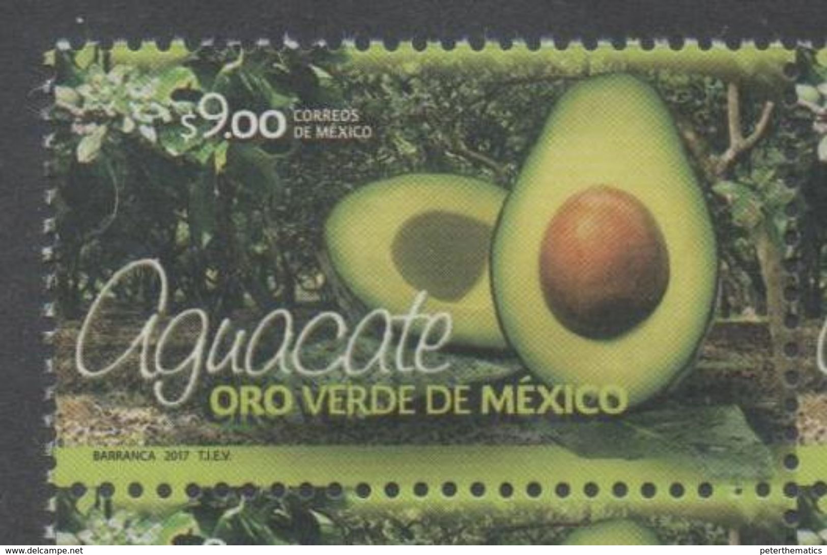 MEXICO, 2017, MNH,AVOCADOS, THE GREEN GOLD OF MEXICO!,  1v - Vegetables