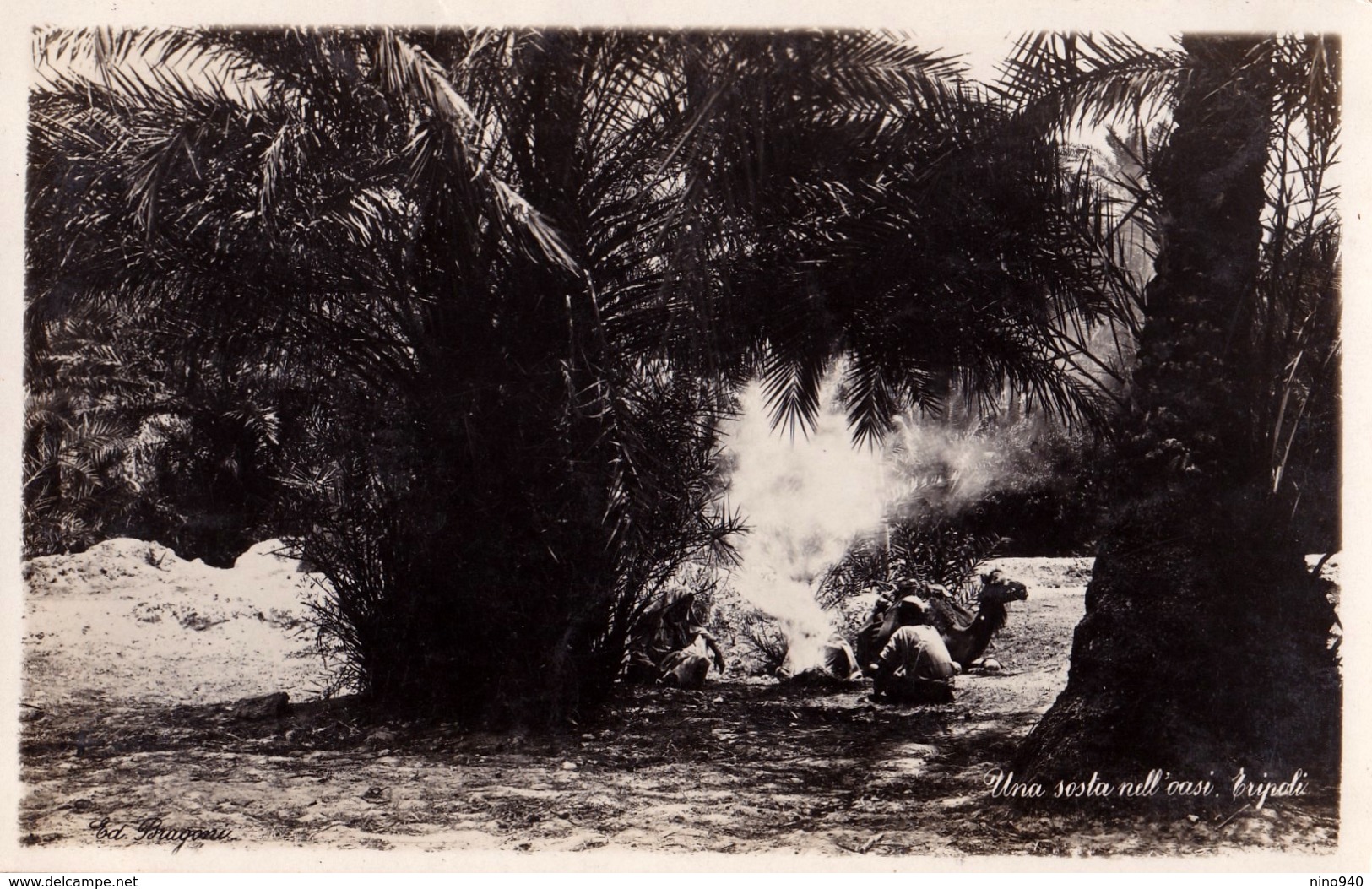 LIBIA - TRIPOLI: UNA SOSTA NELL'OASI  - E - F/P - V: 1924 - Libia