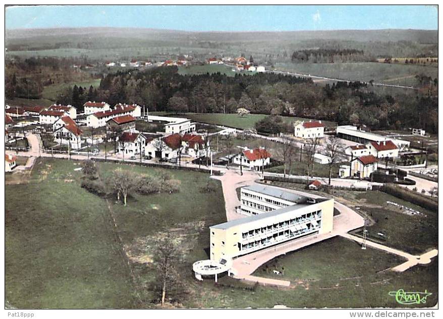 88 - DARNEY : La Pouponnière ( Immeubles , Lotissement ) CPSM Dentelée Colorisée Grand Format - Vosges - Darney