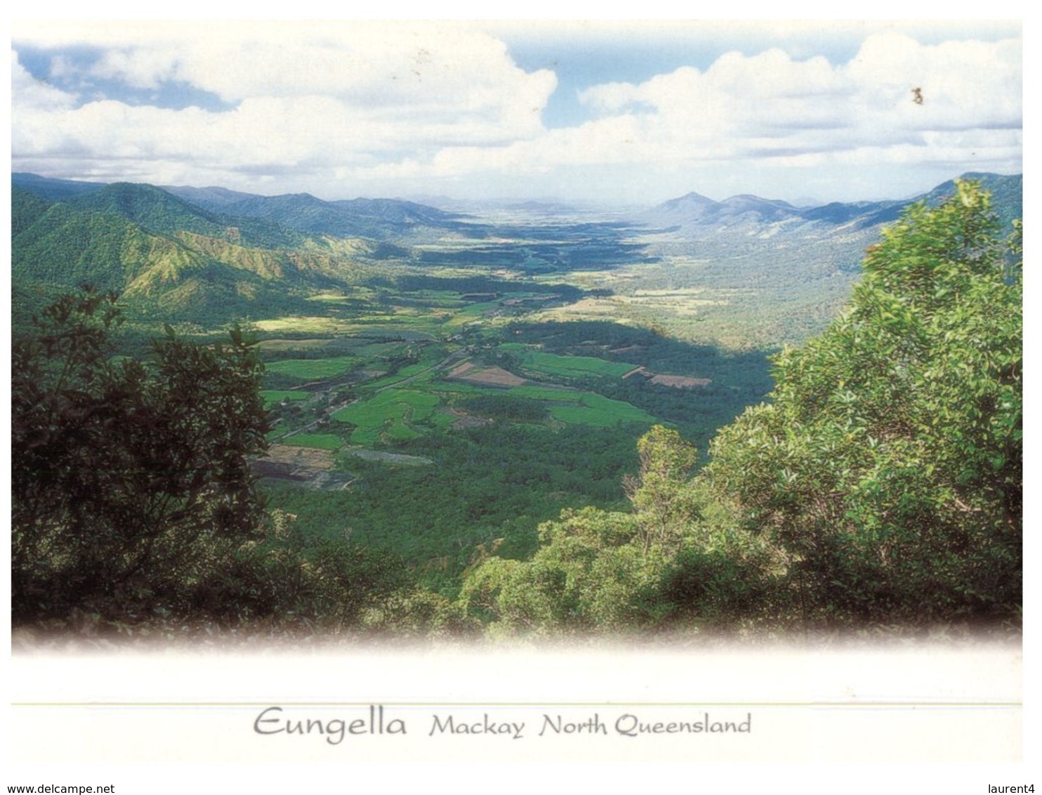 (200) Australia  - QLD - Eungella - Far North Queensland