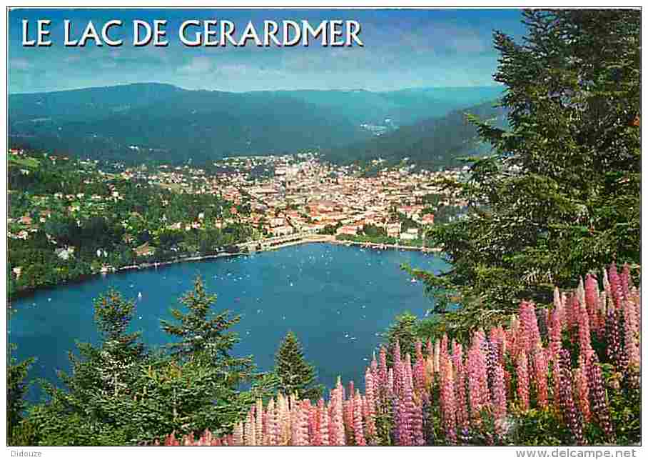 88 - Gérardmer - Le Lac - Vue Générale - Voir Scans Recto-Verso - Gerardmer