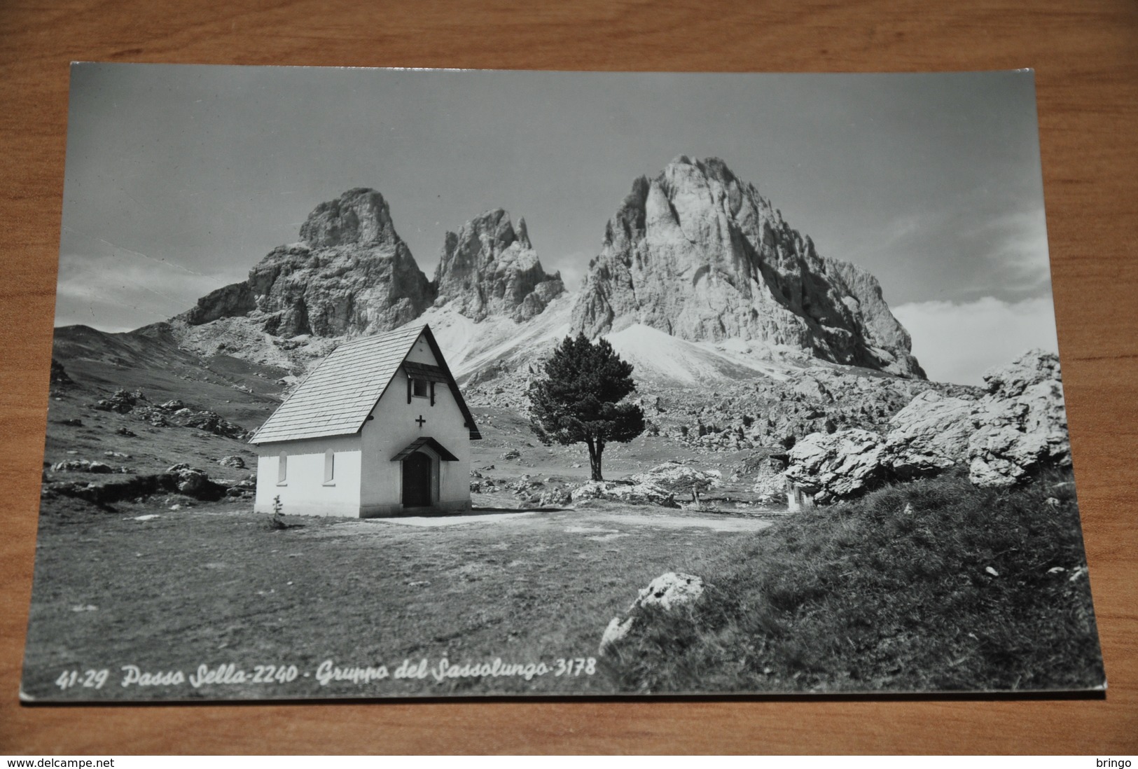 1666-   Passo Sella, Gruppo Del Sassolungo - 1964 - Trento