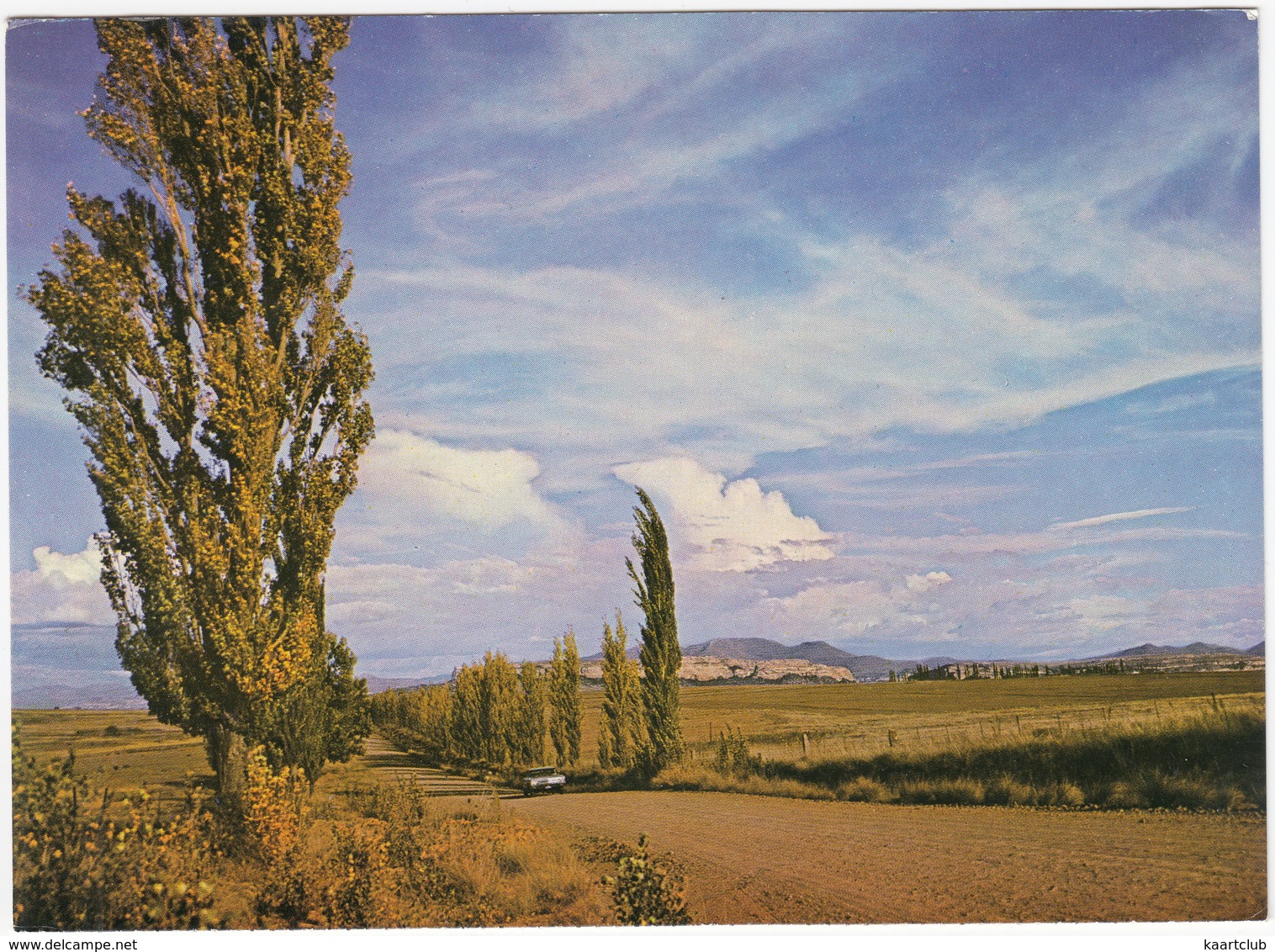 Rural Scene, O.F.S. / O.V.S. 'n Landlike Toneel - South-Africa - Zuid-Afrika