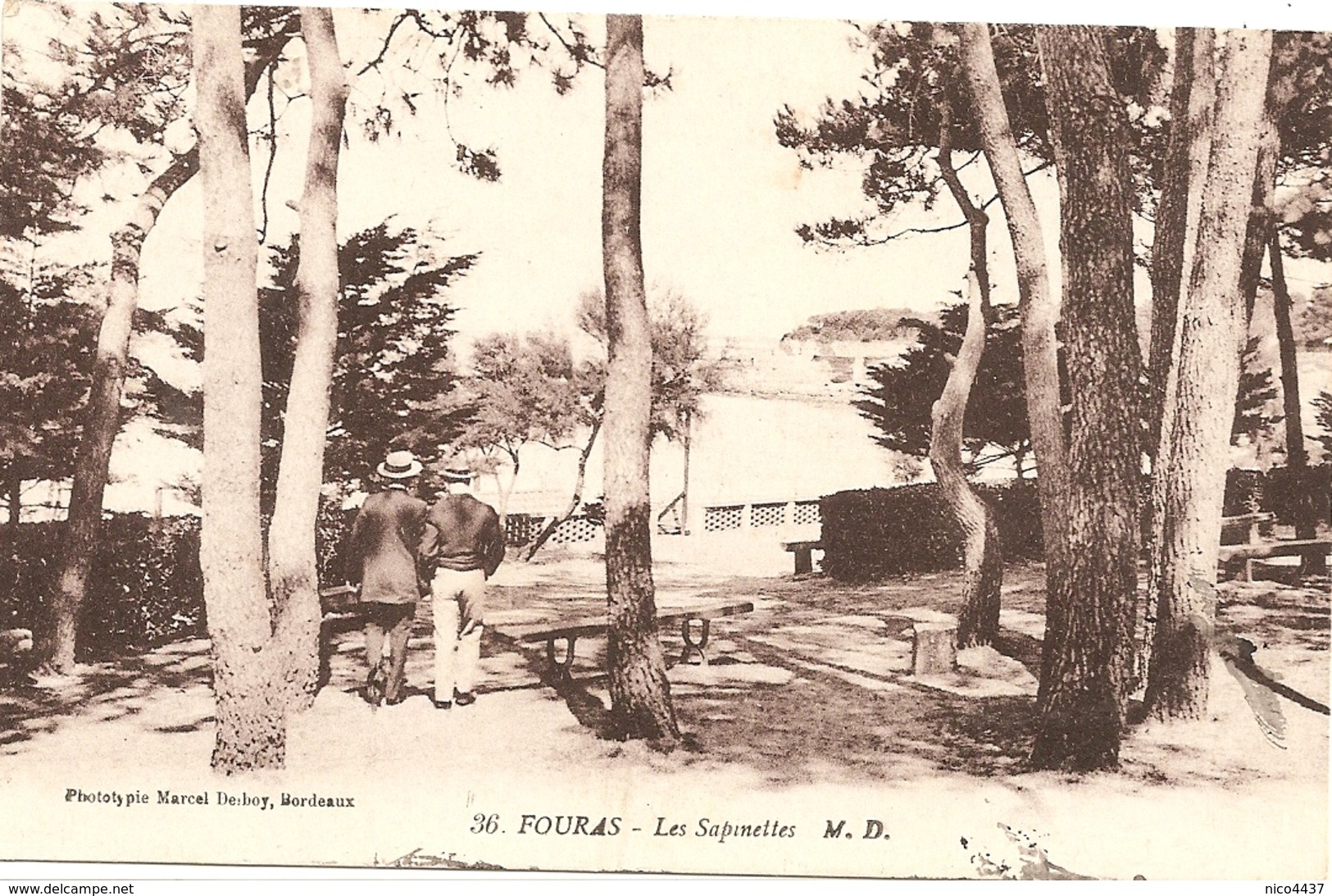 Cpa Fouras Les Bains   La Sapinettes - Dampierre-sur-Boutonne