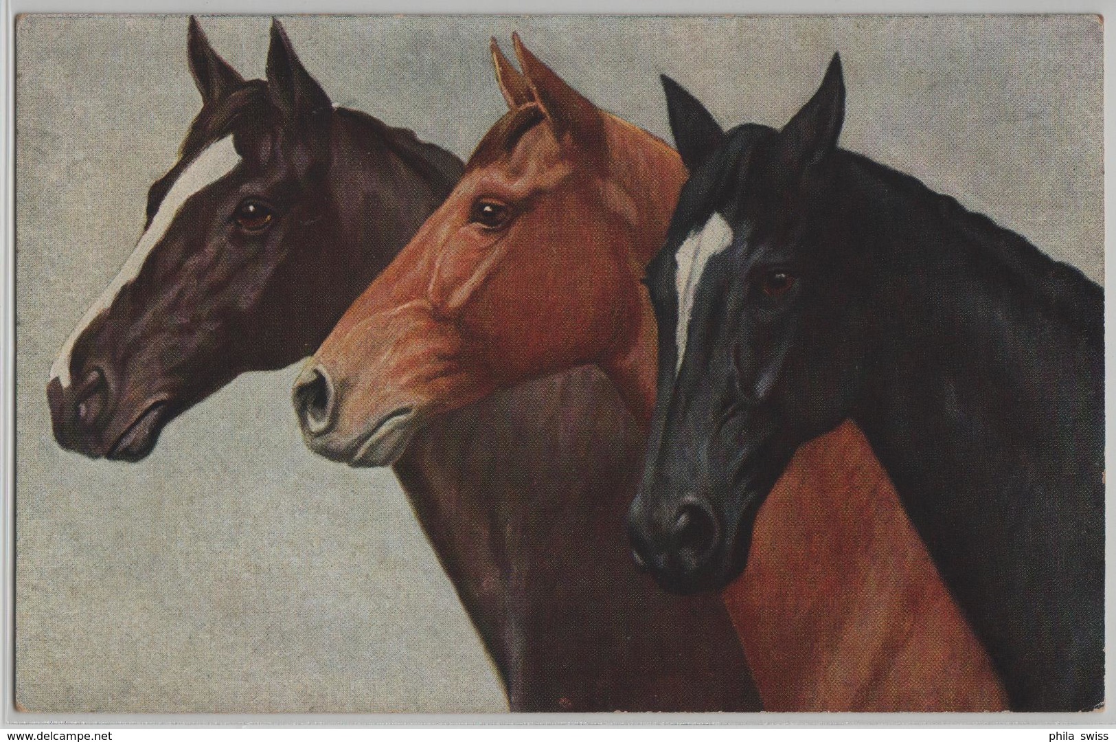 Pferde Horses Chevaux - Brauner Schwarzer Roter - 946 - Chevaux