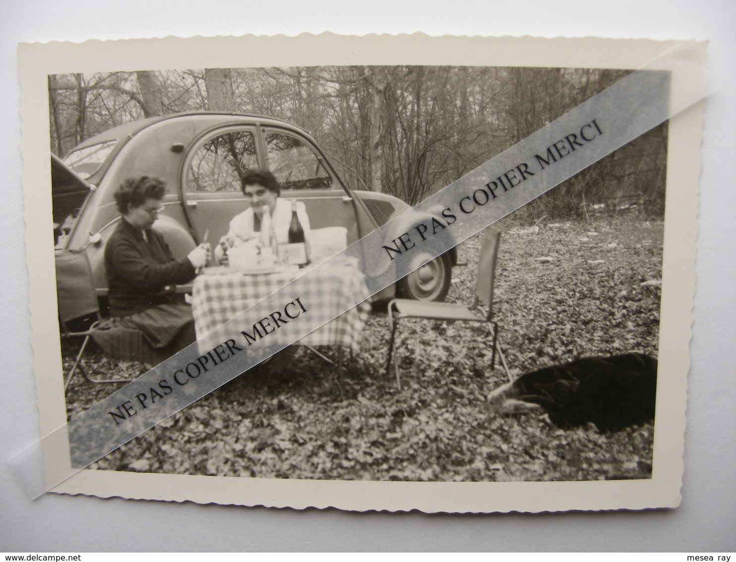 Citroen 2CV 2 CV Pique-Nique Repas En Forêt 2 Femmes à Table Photo Originale Cliché Amateur - Cars