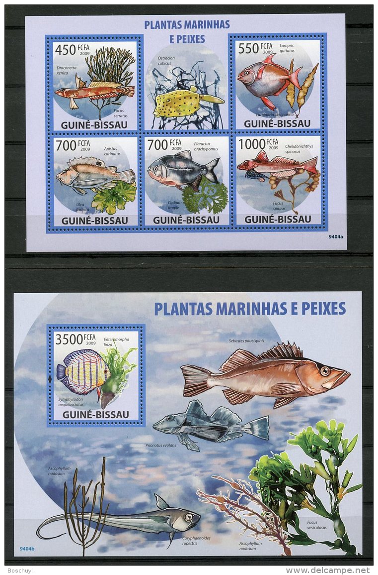 Guinea Bissau, 2009, Fish, Water Plants, Flora, Fauna, MNH, Michel 4291-4295, Block 702 - Guinée-Bissau