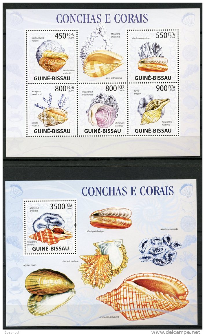 Guinea Bissau, 2009, Shells, Coral, Sea Life, MNH, Michel 4480-4484, Block 731 - Guinea-Bissau