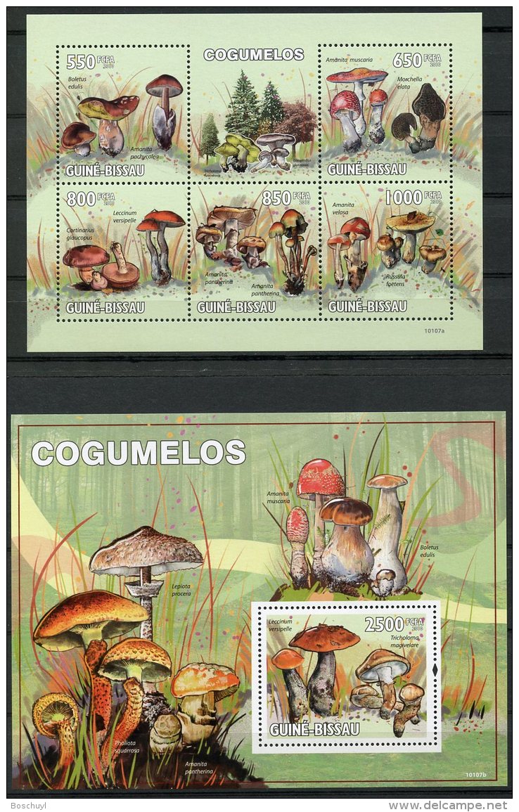 Guinea Bissau, 2010, Mushrooms, Flora, MNH, Michel 4623-4627, Block 752 - Guinée-Bissau