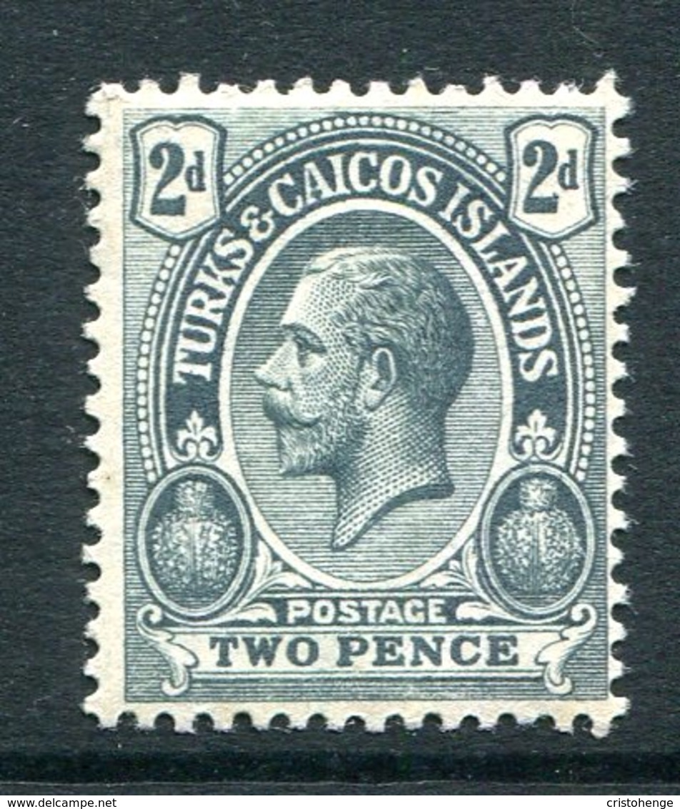 Turks And Caicos Islands 1913-21 KGV (Wmk. Mult. Crown CA) - 2d Greyish Slate HM (SG 131) - Turks E Caicos