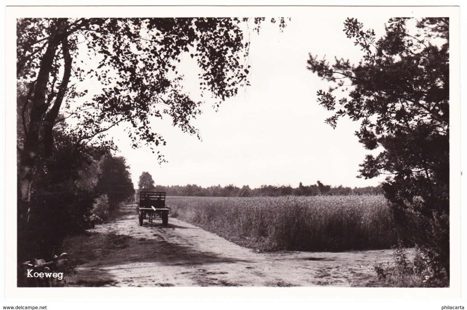 Epe - Koeweg - 1955 - Epe