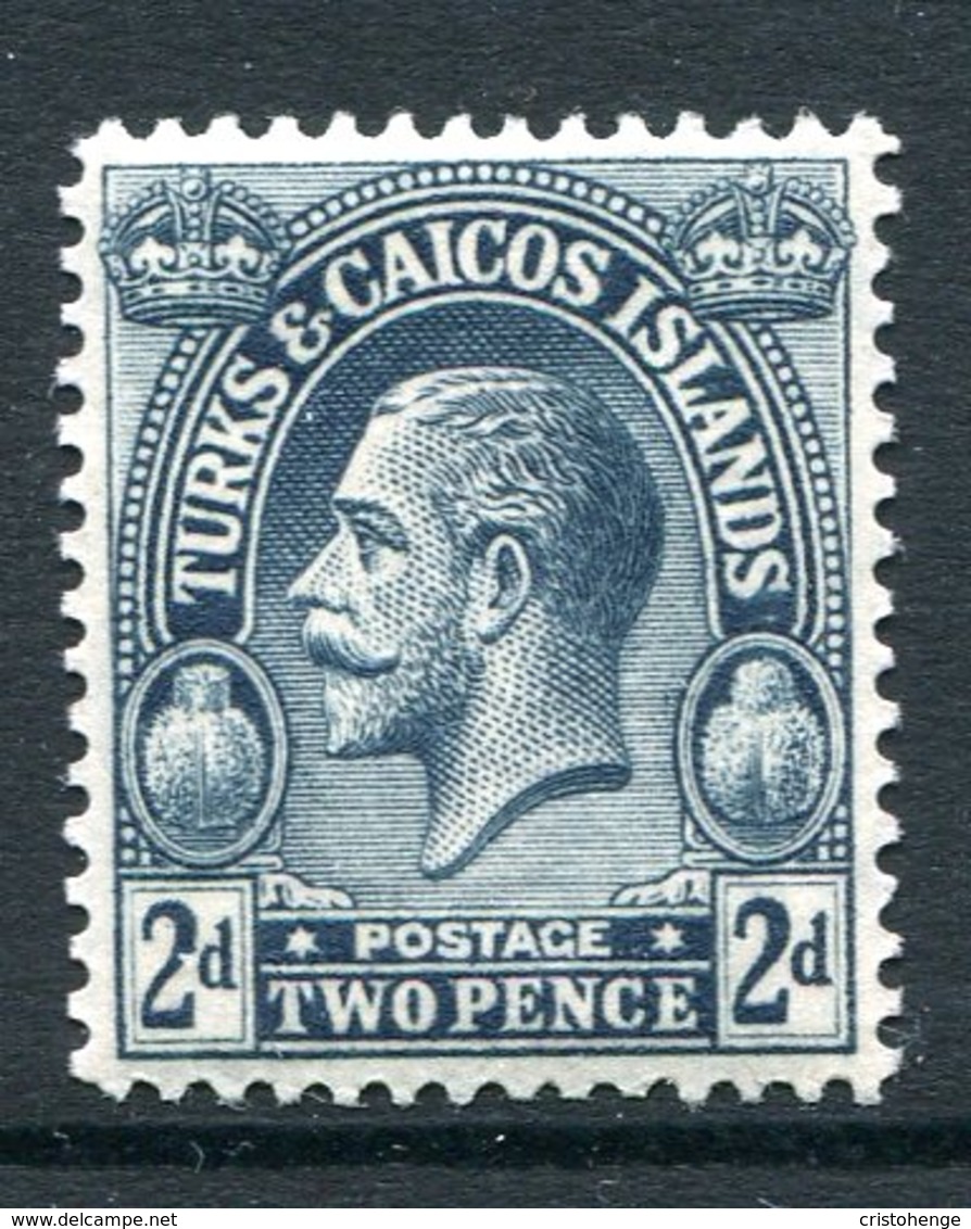 Turks And Caicos Islands 1922-26 KGV (Wmk. Script CA) - 2d Slate HM (SG 166) - Turks E Caicos