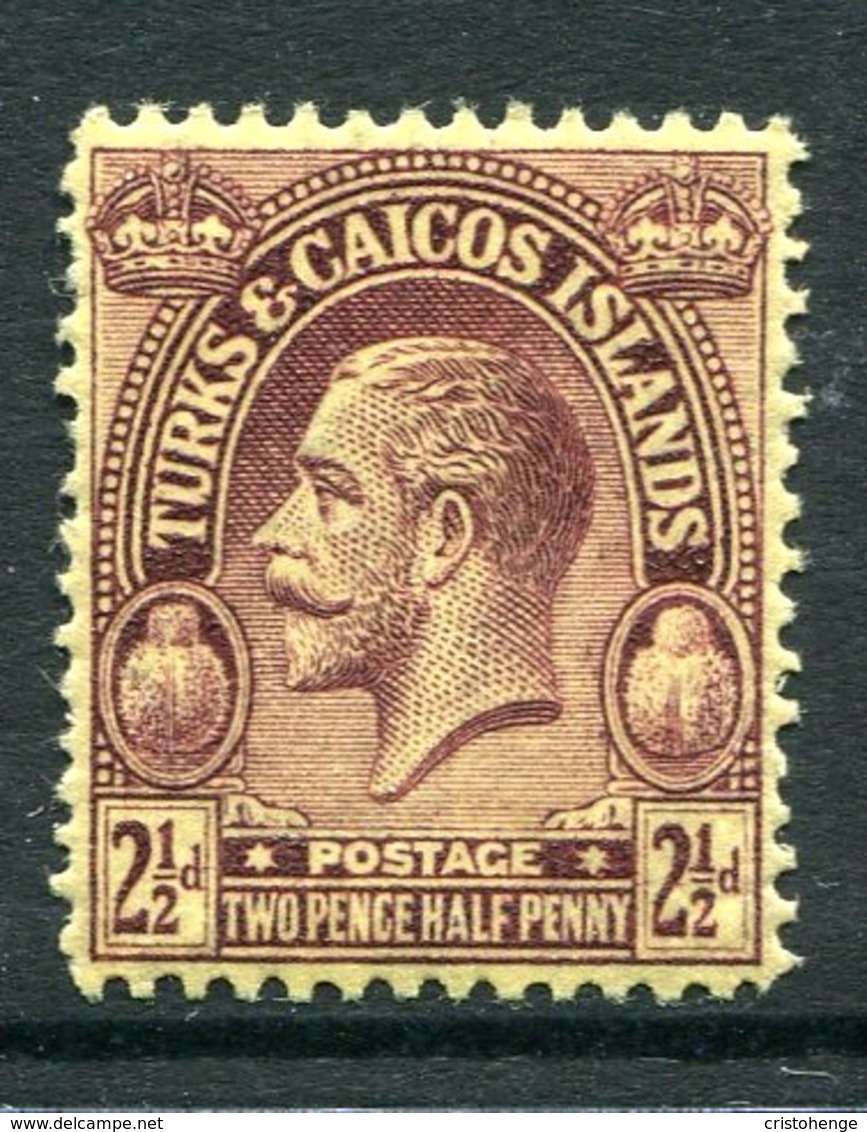 Turks And Caicos Islands 1922-26 KGV (Wmk. Script CA) - 2½d Purple On Pale Yellow HM (SG 167) - Turks And Caicos