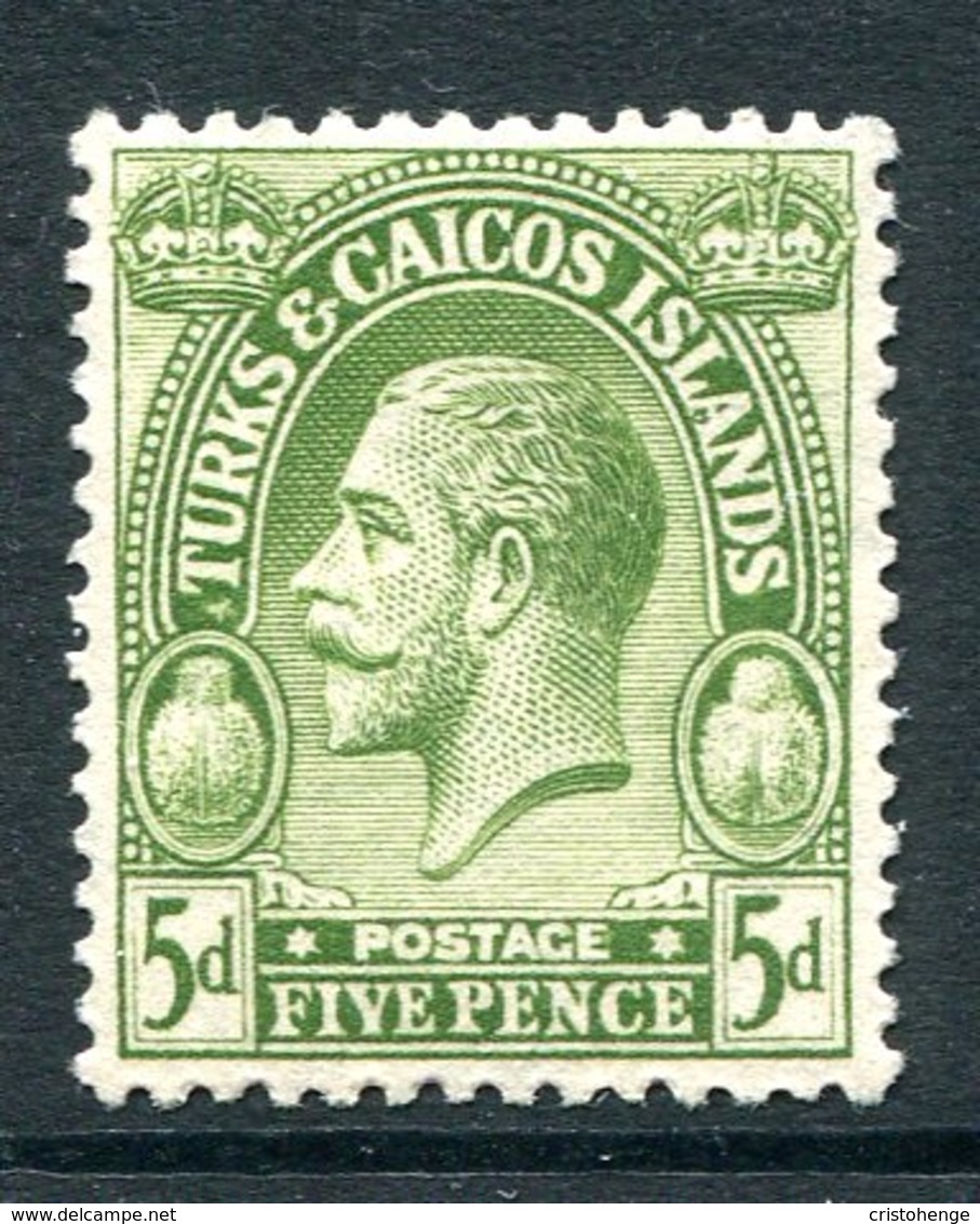 Turks And Caicos Islands 1922-26 KGV (Wmk. Script CA) - 5d Sage-green HM (SG 170) - Turks And Caicos