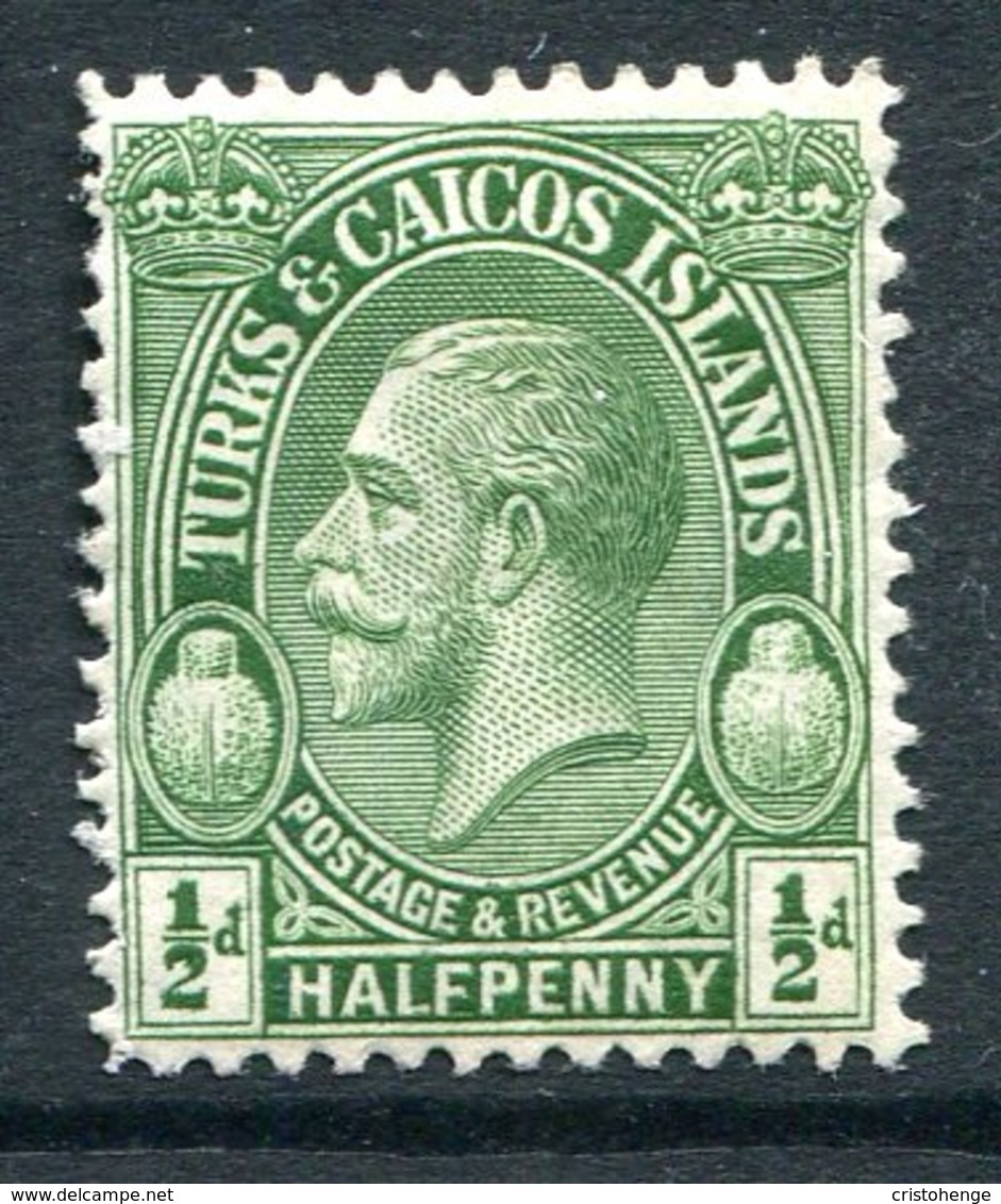 Turks And Caicos Islands 1928 Postage & Revenue - ½d Green HM (SG 176) - Turks And Caicos