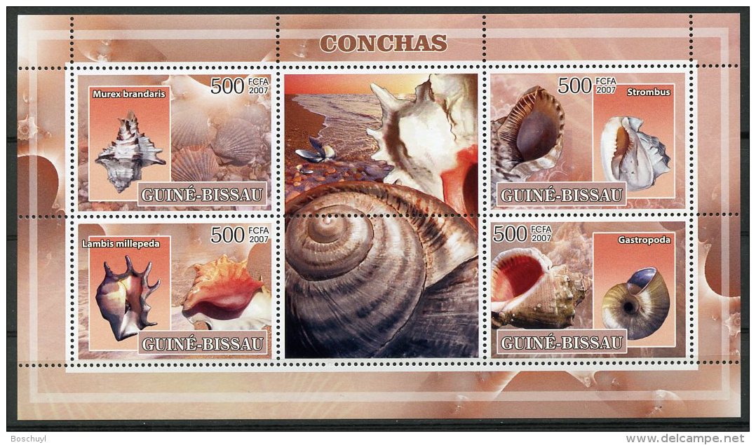 Guinea Bissau, 2007, Snails, Animals, Fauna, MNH, Michel 3578-3581 - Guinée-Bissau