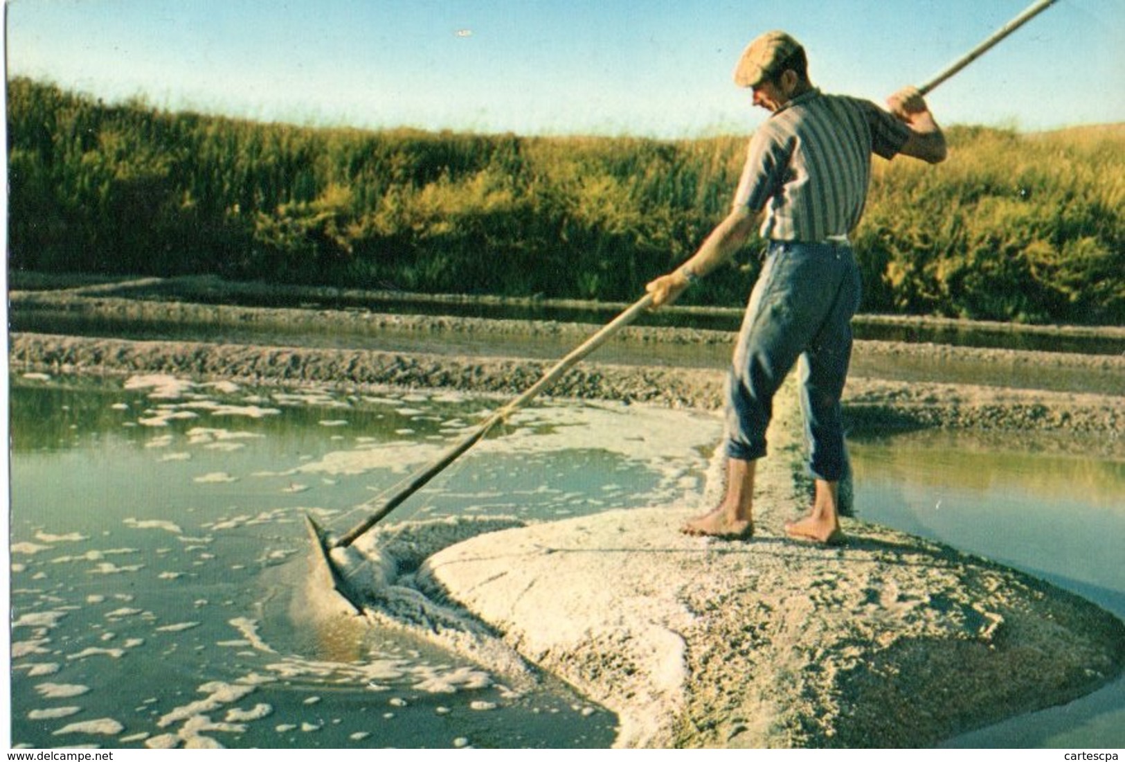 Guerande Paludier Au Travail Dans Les Marais Salants 1974 CPM Ou CPSM - Guérande