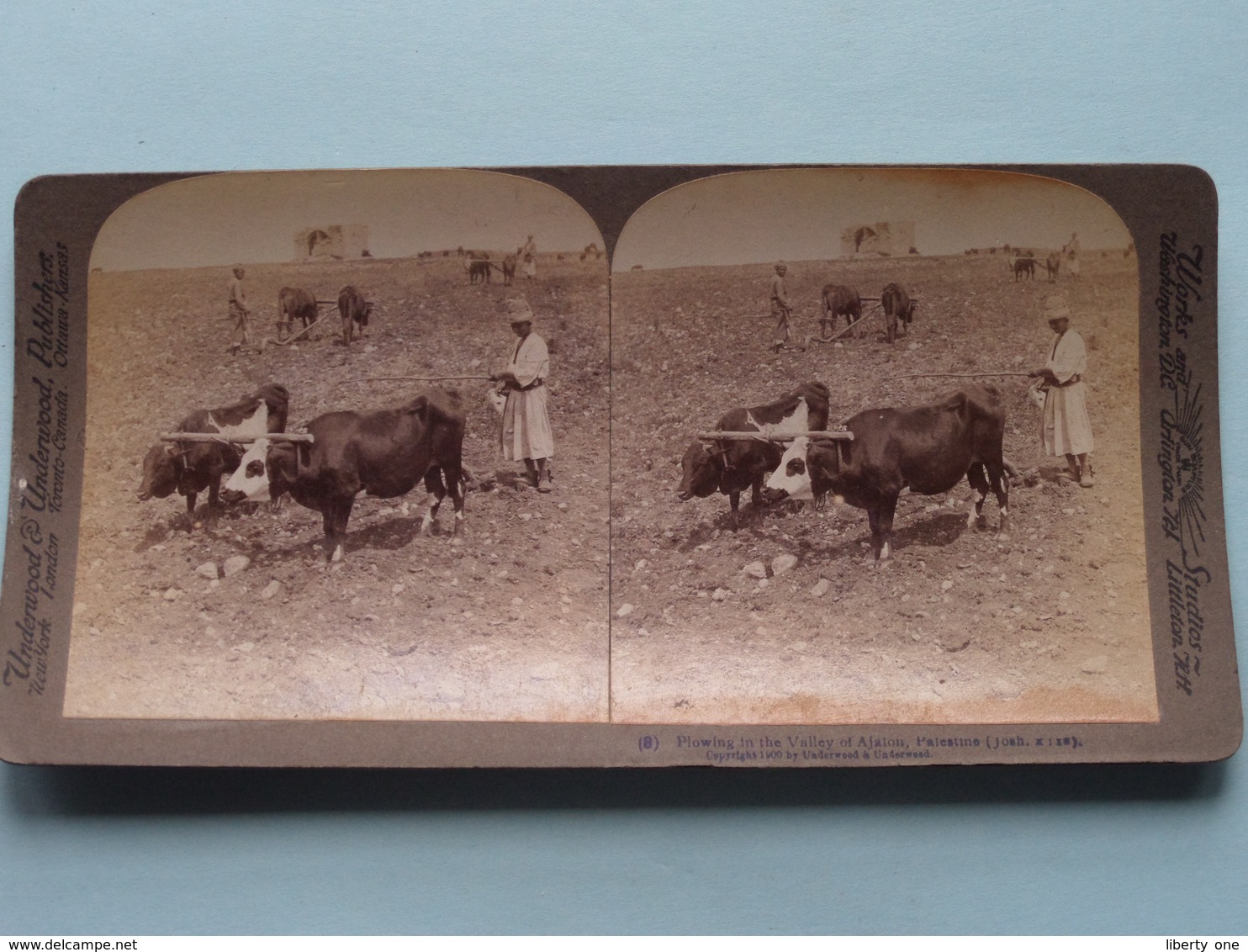 Plowing In The Valley Of Ajalon PALESTINE ( N° 8 ) Stereo Photo : Underwood & Underwood Publi ( Voir Photo ) ! - Photos Stéréoscopiques